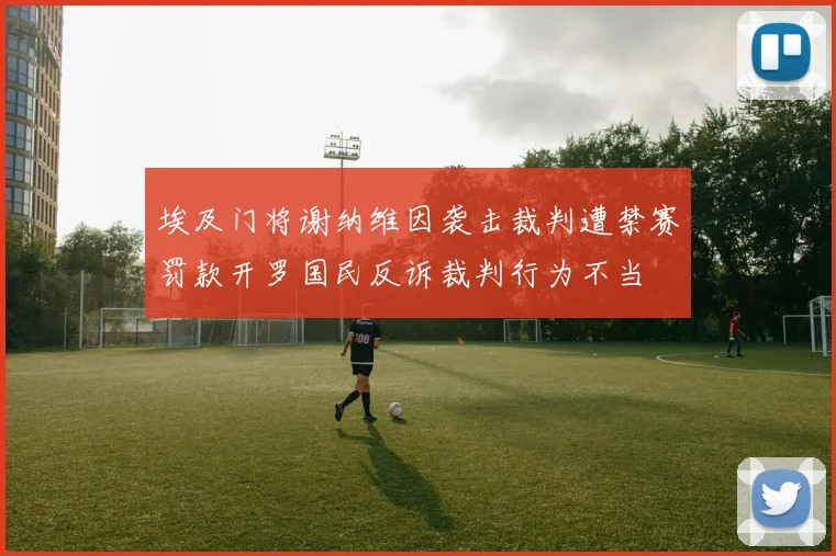 埃及门将谢纳维因袭击裁判遭禁赛罚款开罗国民反诉裁判行为不当