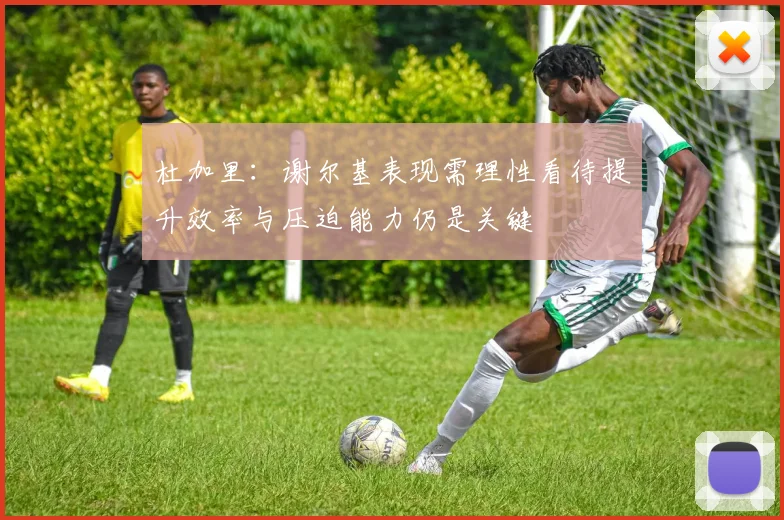 杜加里：谢尔基表现需理性看待提升效率与压迫能力仍是关键