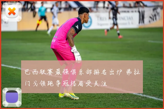 巴西联赛最强俱乐部排名出炉 弗拉门戈领跑争冠格局受关注