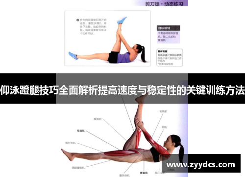 仰泳蹬腿技巧全面解析提高速度与稳定性的关键训练方法