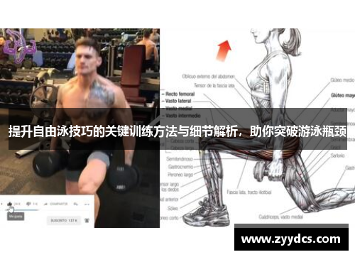 提升自由泳技巧的关键训练方法与细节解析，助你突破游泳瓶颈