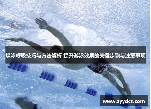 蝶泳呼吸技巧与方法解析 提升游泳效果的关键步骤与注意事项