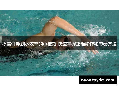 提高仰泳划水效率的小技巧 快速掌握正确动作和节奏方法
