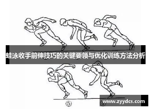 蛙泳收手前伸技巧的关键要领与优化训练方法分析