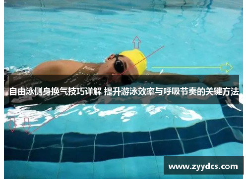 自由泳侧身换气技巧详解 提升游泳效率与呼吸节奏的关键方法